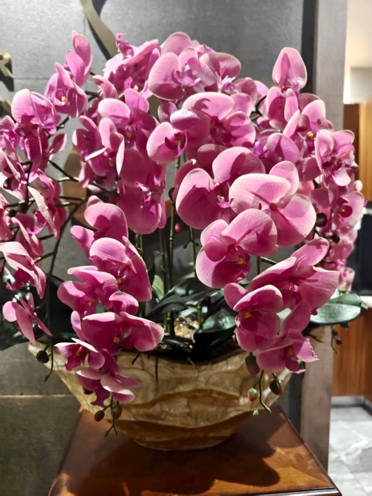 禾源商务SPA&middot;男士商务&middot;水疗保健(天府店)