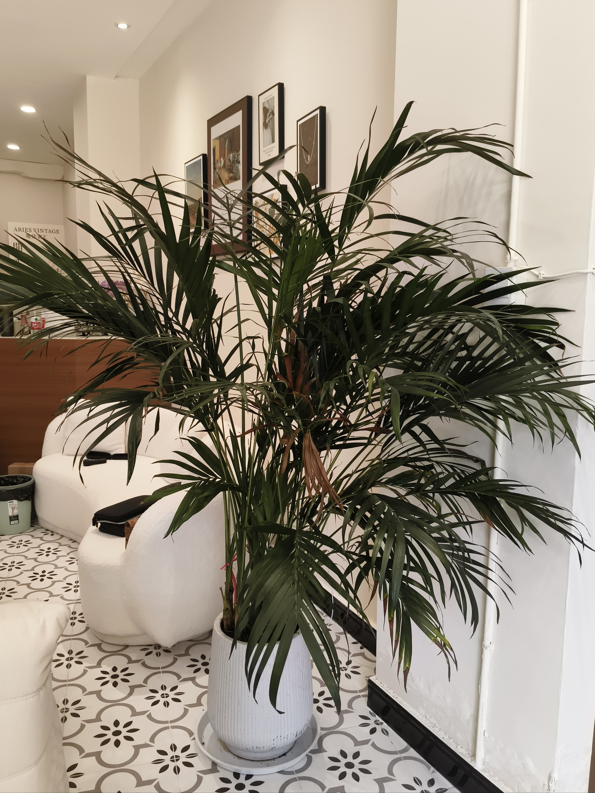 唯佳奢汇Aries Vintage奢侈品回收