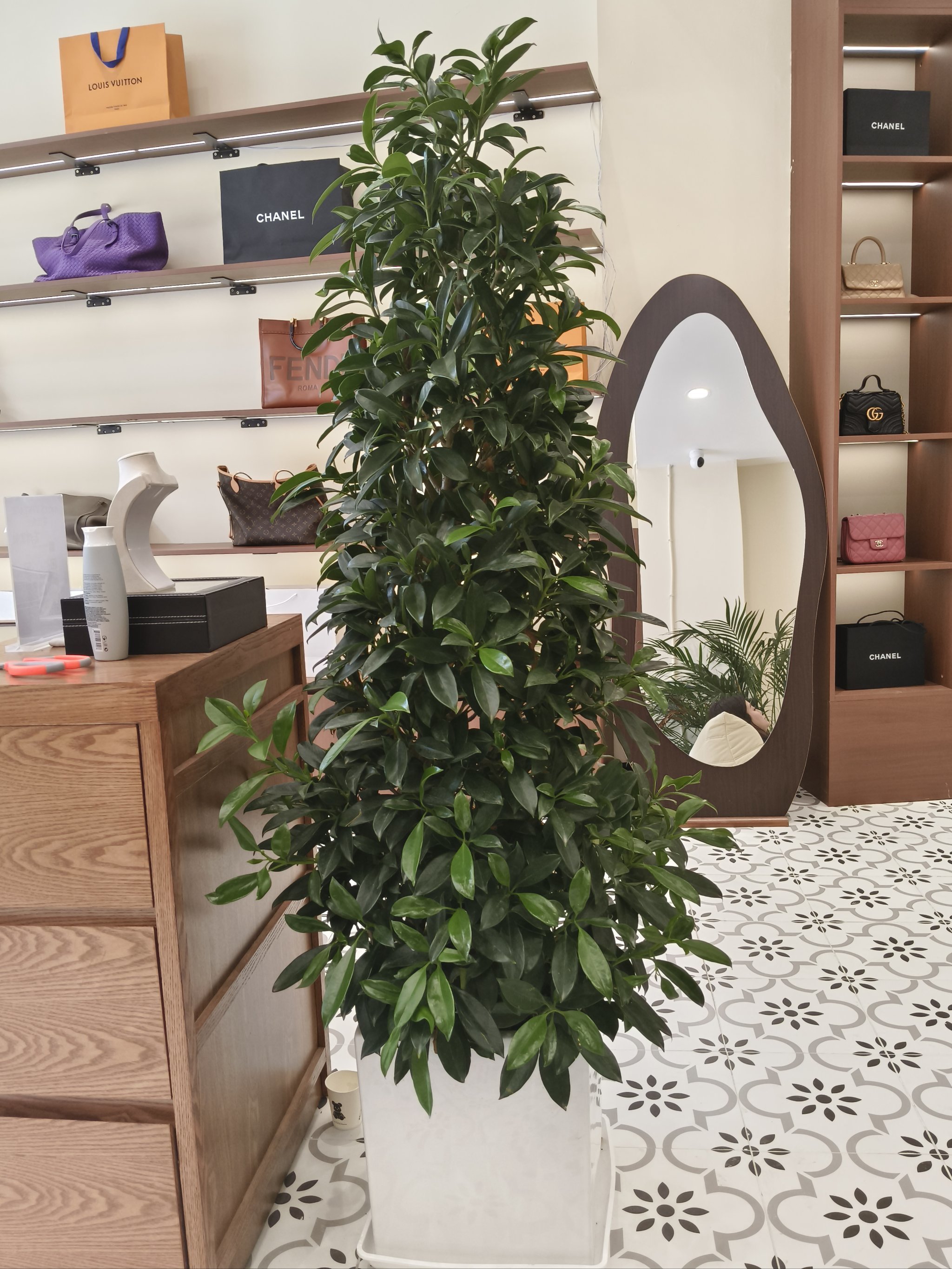 唯佳奢汇Aries Vintage奢侈品回收